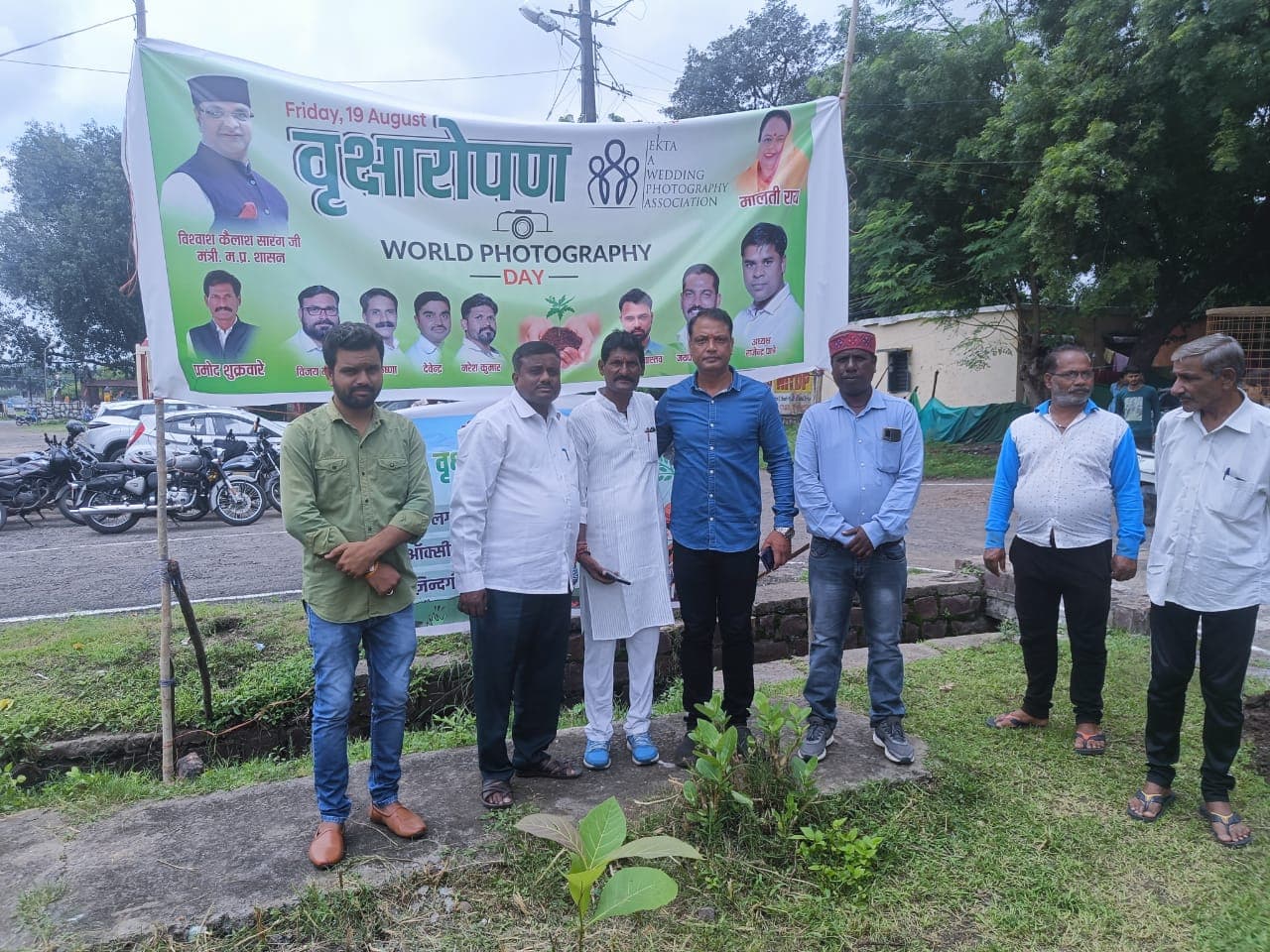 Tree Plantation